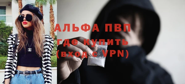 прущие грибы Богородск