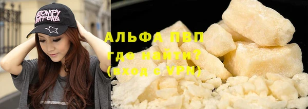 прущие грибы Богородск