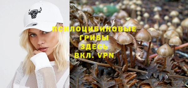 прущие грибы Богородск