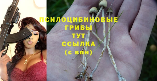 прущие грибы Богородск