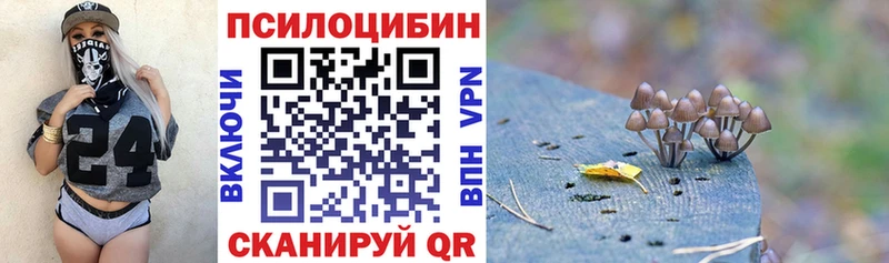 Купить где  Унеча  Галлюциногенные грибы Magic Shrooms 